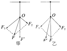 柔光灯与新型辅料有哪些关系