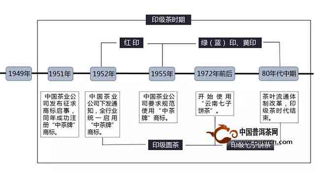 袜子模型图