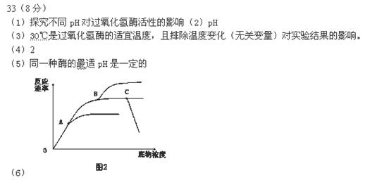 涤纶合成原料