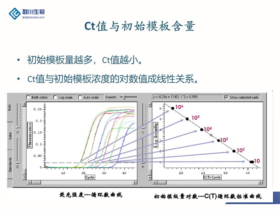 pcr扩增仪器