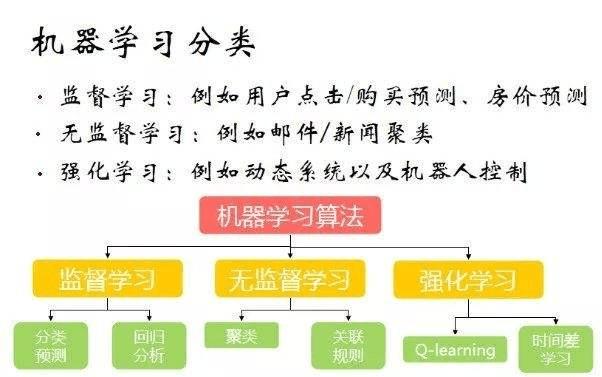 禽类与人工智能大专学什么课程