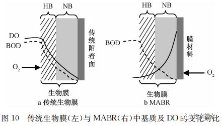 电池隔离膜涂层