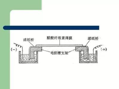 钢坯的加工与应用，从原料到多种产品的转化过程