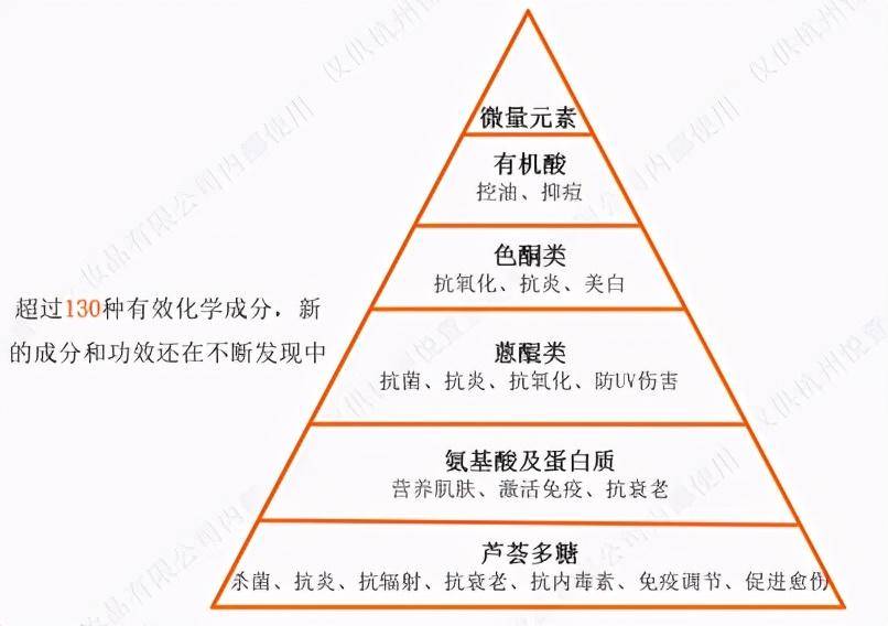 动物胶和植物胶