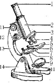 显微镜的镜头分几种如何进行区分
