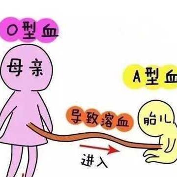 溶血是怎么回事